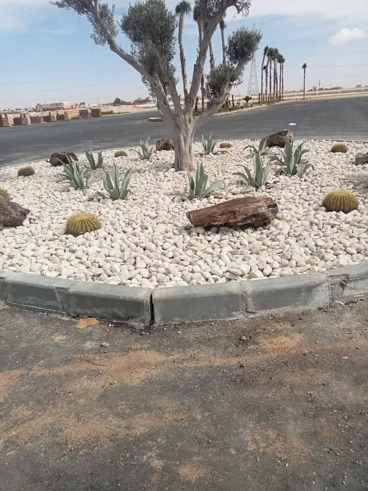 WhatsApp Image 2025-11-21 at 9.16.25 PM (3)