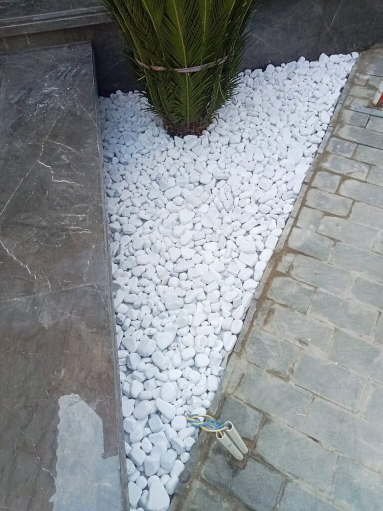 WhatsApp Image 2025-11-21 at 9.16.59 PM (1)